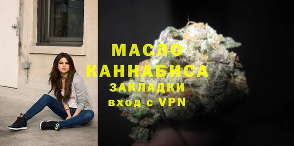 хмурый Каменка