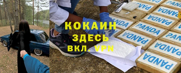 хмурый Каменка