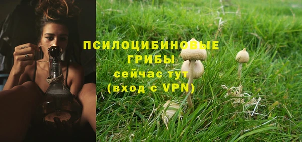 хмурый Каменка