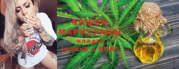 хмурый Каменка