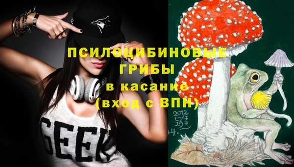 а пвп мука Каменногорск