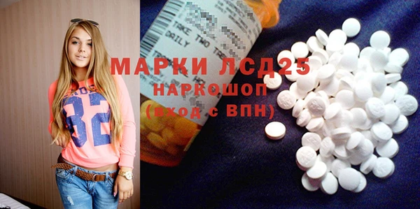 хмурый Каменка