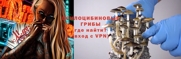 дурь Каменск-Шахтинский